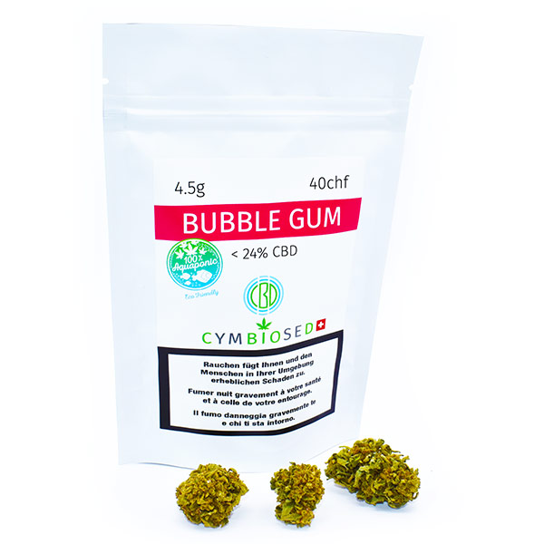 Bubble Gum | Aquaponik cbd