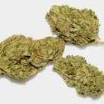 Händler von legalem Cannabis cbd werden