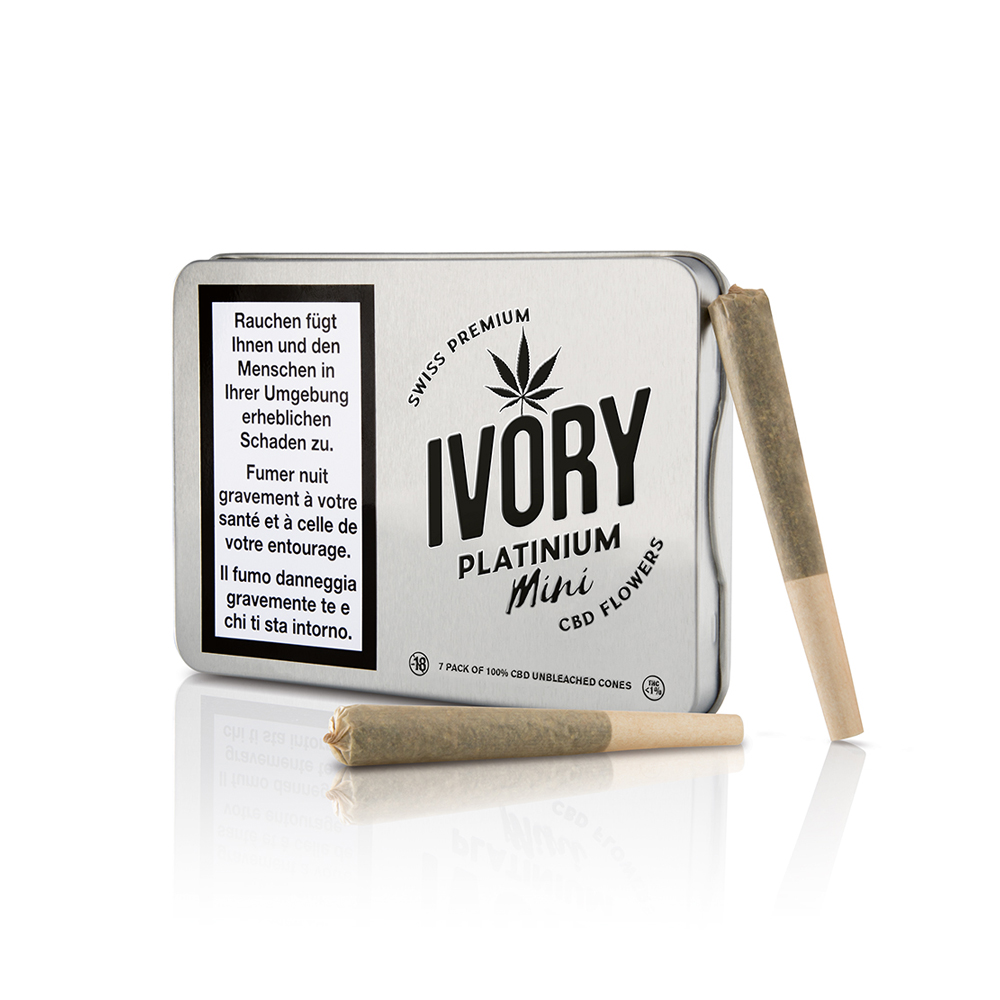 Ivory | Prerolls 7pces