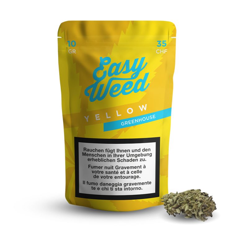 EasyWeed Yellow un fiore di cbd greenhouse